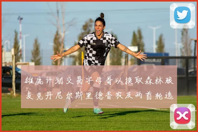 雄鹿计划交易字母哥以换取森林狼麦克丹尼尔斯里德香农及两首轮选秀权