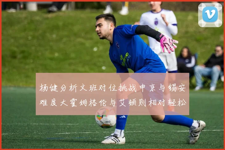 杨健分析文班对位挑战申京与锡安难度大霍姆格伦与艾顿则相对轻松